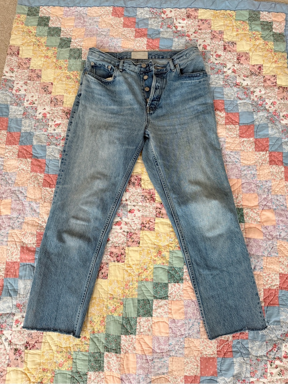 Everlane Light Wash Straight Jeans with Button Fly